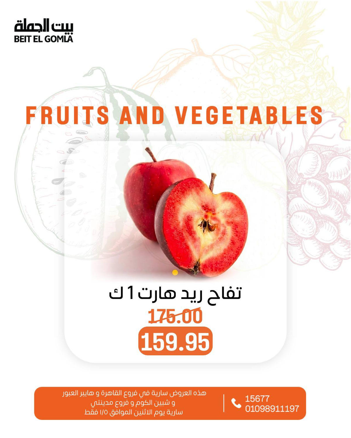 عروض بيت الجملة يوم 5 يناير 2026 صفحة 19 - beit elgomla offers from 5 January to 5 January 2026 page 19